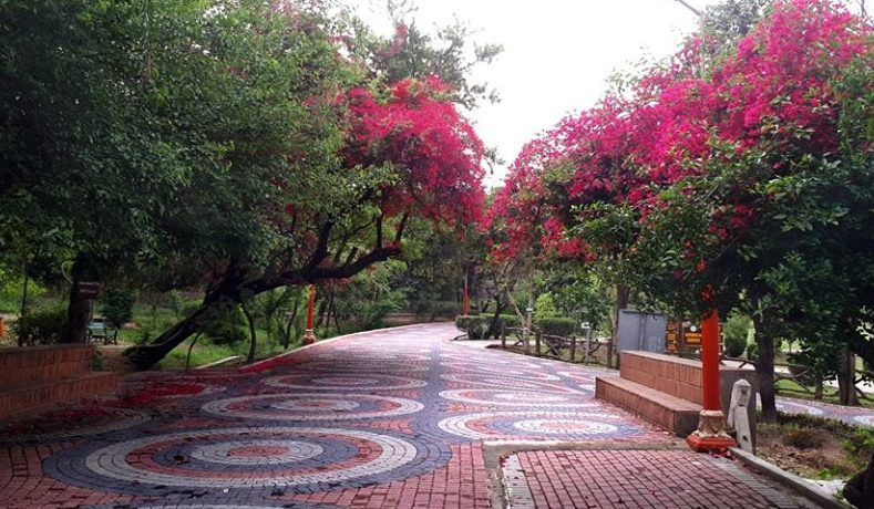 Ayub National Park